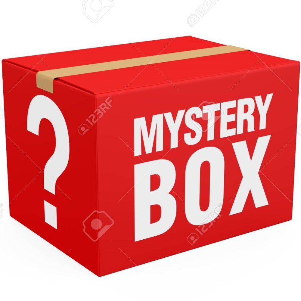 Reseller Start up Mystery Box 10 pc's of Clothing All sizes All New